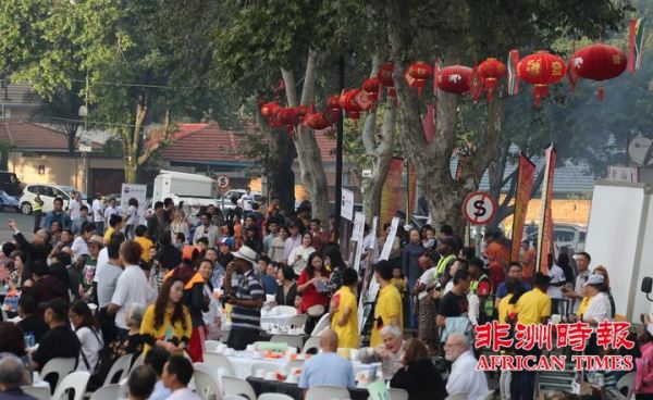 万人齐聚南非约堡唐人街共庆猪年新春佳节（视图）