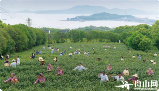 中国国际普陀佛茶文化节在舟山开幕 同期举办茶产业发展高峰论坛