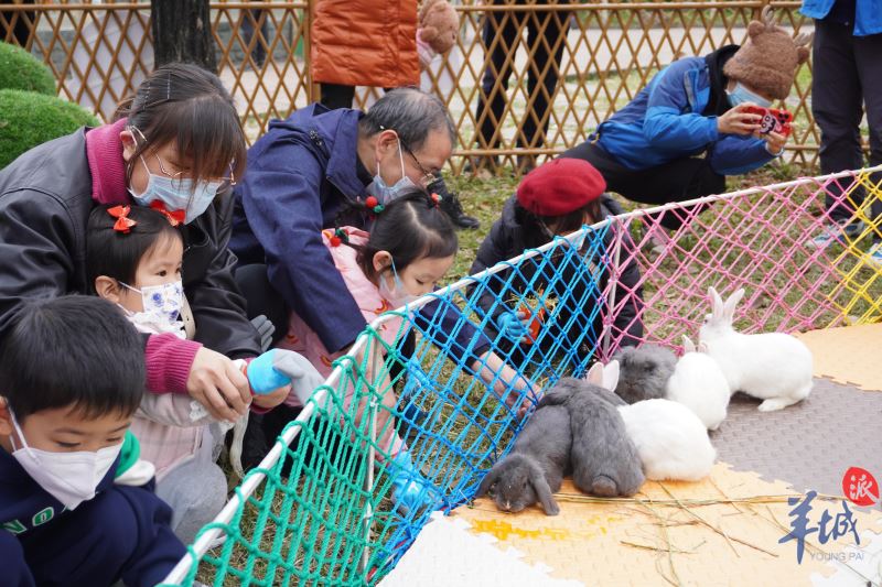 【老广贺春·葡语】Experimente a Festa do Ano do Coelho! 遇兔迎祥，来这里感受沉浸式兔年游园会