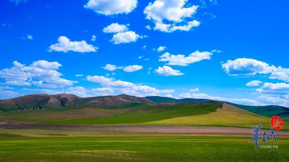 【葡语】O Prado de Hulunbuir torna-se verde! De que é que estão à espera? 感受内蒙古呼伦贝尔夏天：草原返青景色美