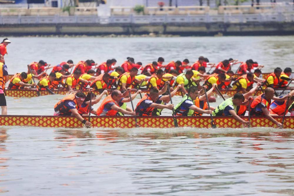 【大美广东·葡语】Doumen corrida de  barcos-dragão volta! 奋楫竞渡黄杨河，斗门龙舟赛正酣