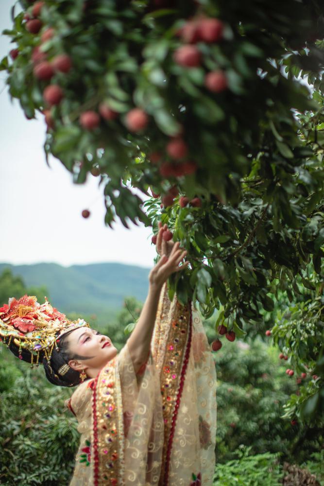 【大美广东·葡语】Lichia de Linnan atraída por Yang Guifei 岭南荔枝季引来“杨贵妃”