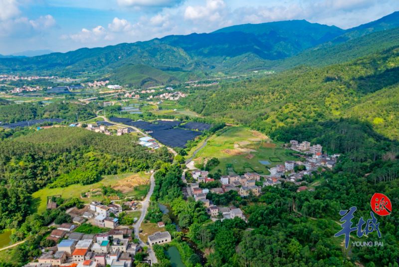 【大美广东】Cenário Bonito na Estrada Antiga em Heshan, Jiangmen 江门鹤山彩虹古道：坐石为君 对景成诗