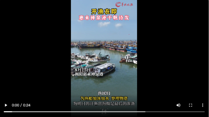 【大美广东·葡语】Preparando a vela para a temporada de pesca: Mil navios aguardam no porto de Shenquan, no c