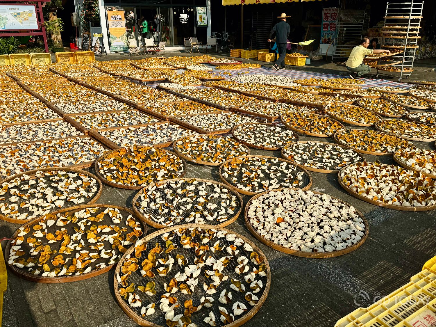 Understand China through a piece of orange peel