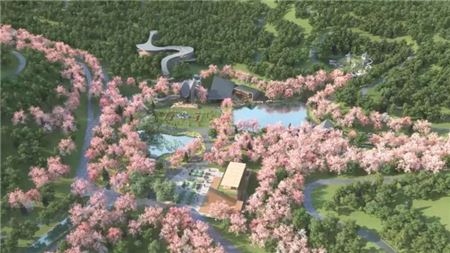广州客天下：打造“桃花源”中的森林氧吧
