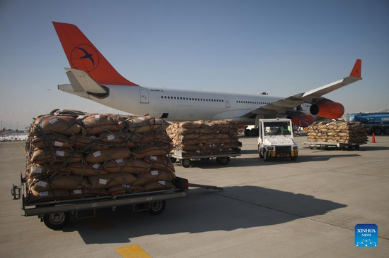 More Afghan pine nuts exported to China