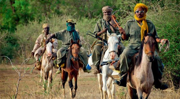 面对遍及非洲大陆的偷猎行为，反盗猎者大多数时候显得力不从心