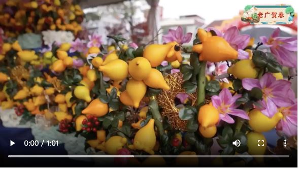 【老广贺春】Incrível mercado de flores do Festival da Primavera em Shunde 时隔三年重启！来佛山陈村，逛花街过吉年