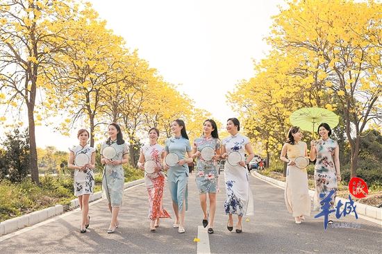 【大美广东·葡语】O bonsai de Lingnan traz prosperidade ao turismo rural em Guangdong! 广东特色文旅注活力 岭南盆景成网红